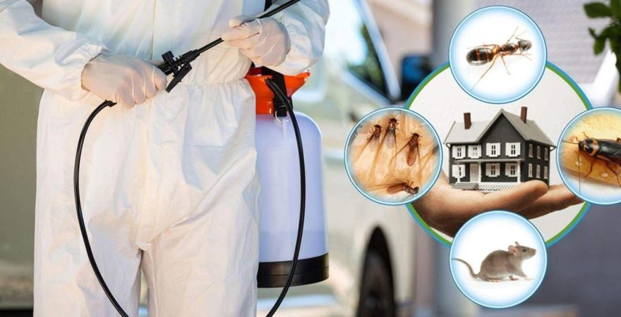 İnönü Böcek İlaçlama