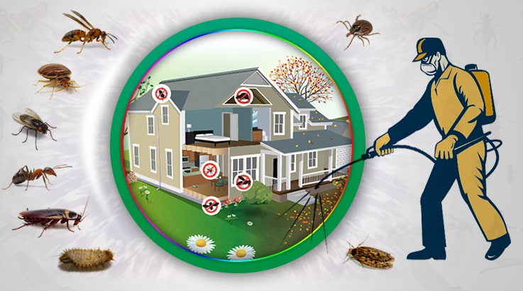 İnönü Böcek İlaçlama