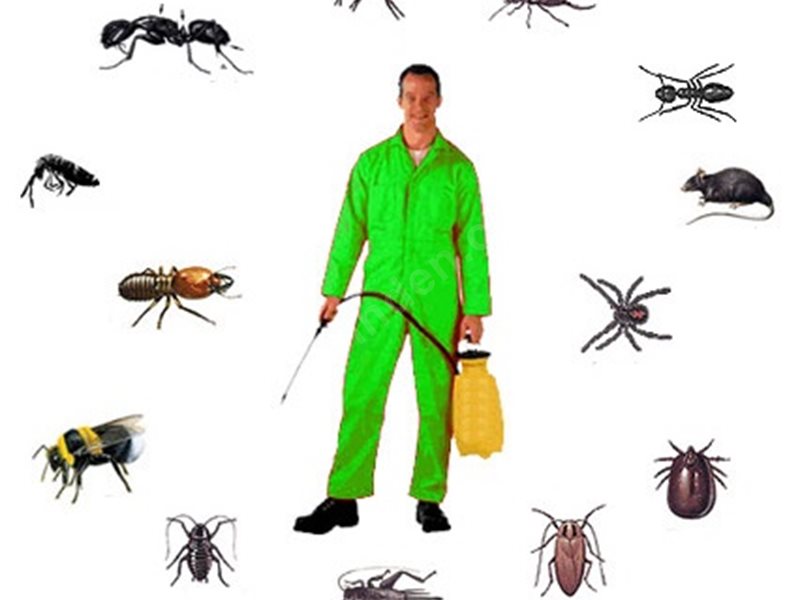 İnönü Böcek İlaçlama